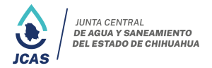 JCAS logo